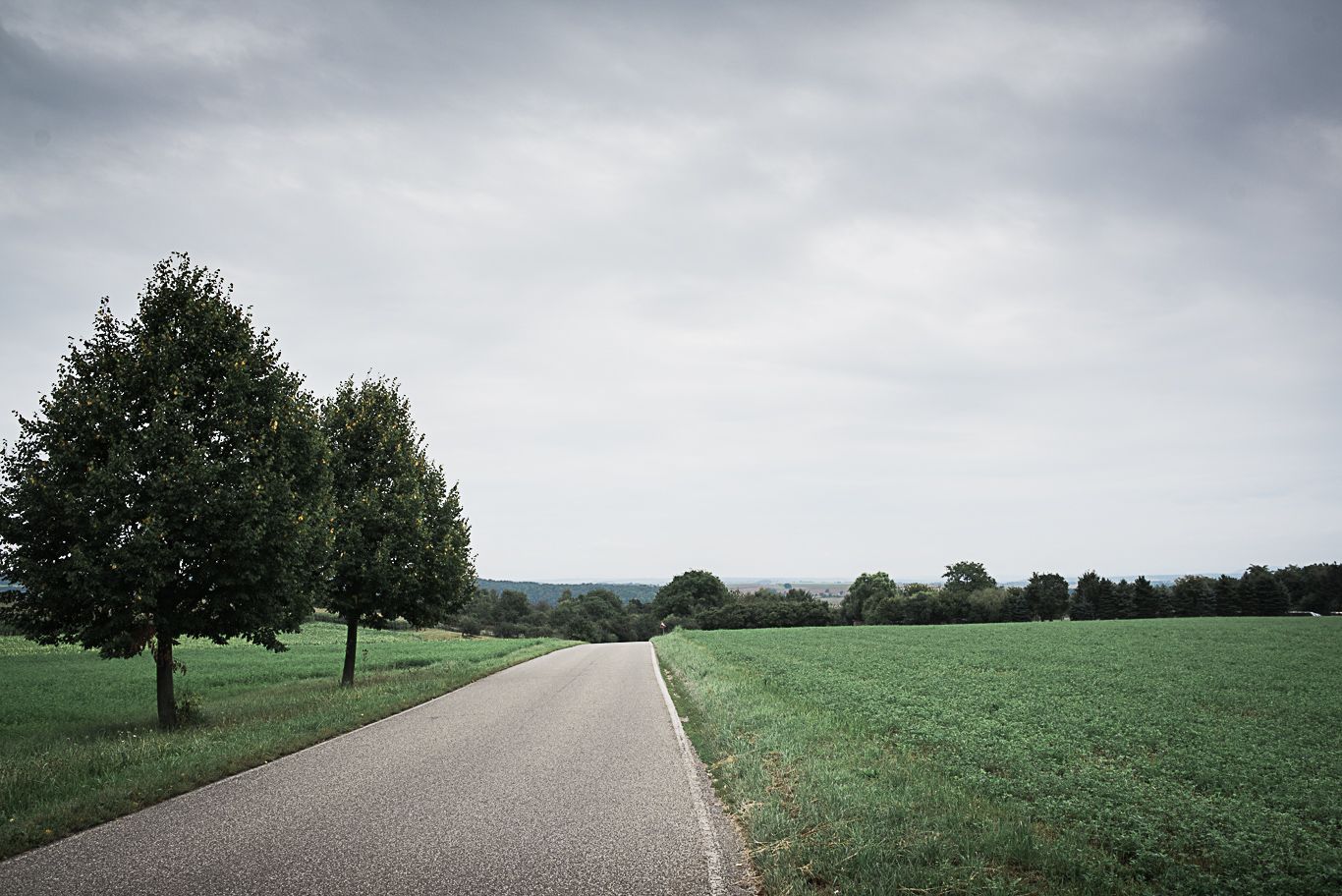 Allee mit Bäumen führt zu weiten Feldern auf Schloss Heinsheim