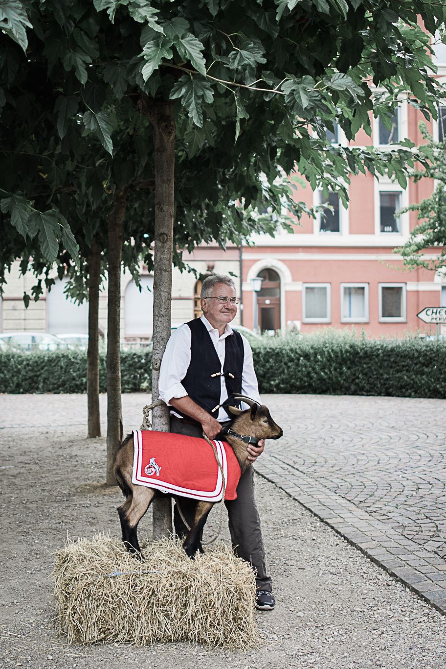 Mann sitzt mit einer Ziege auf einem Strohballen unter Bäumen