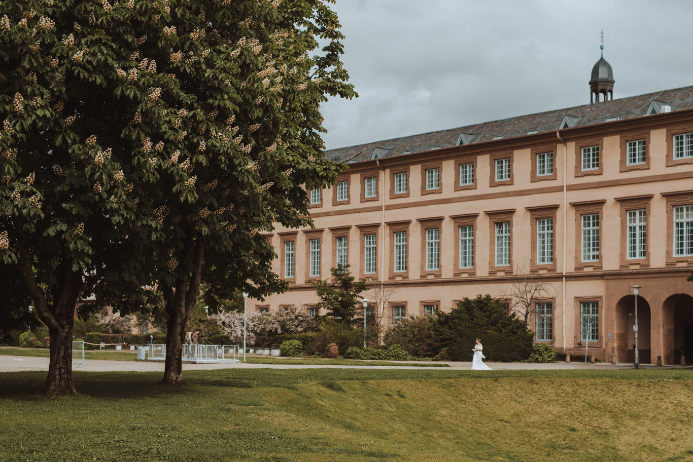 Schloss Mannheim mit weiter Rasenfläche und alten Bäumen im Vordergrund