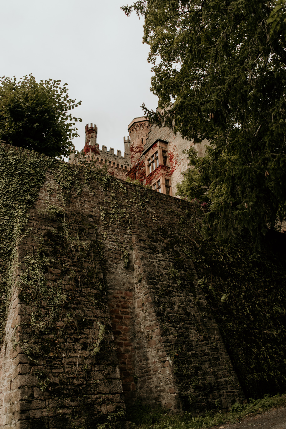 Blick auf den bewachsenen Turm der Mittelburg zwischen Bäumen