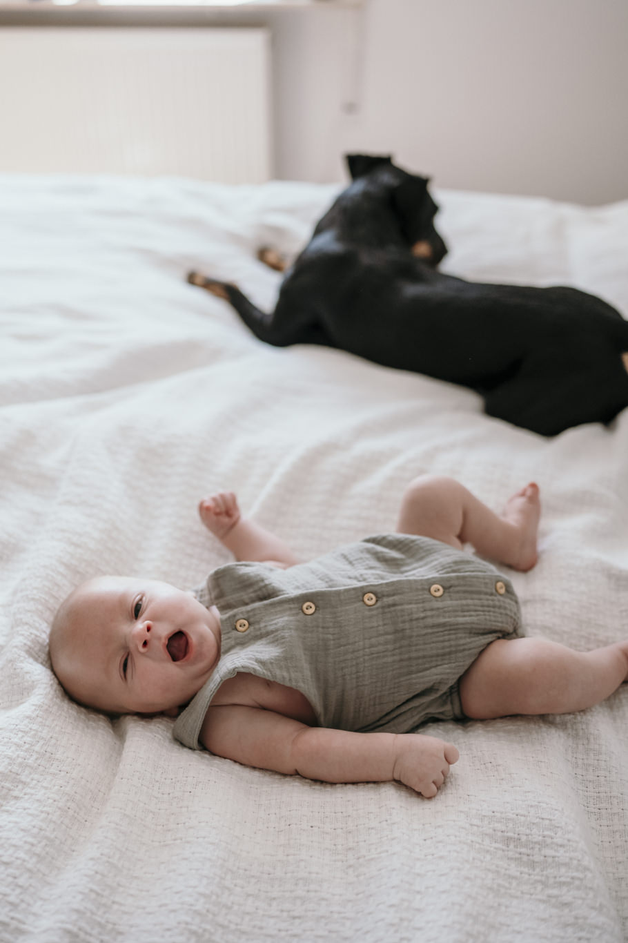 Hund liegt neben strampelndem Baby auf dem Bett