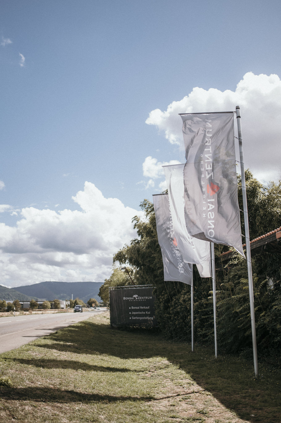 Werbefahnen stehen im Wind auf der grünen Wiese