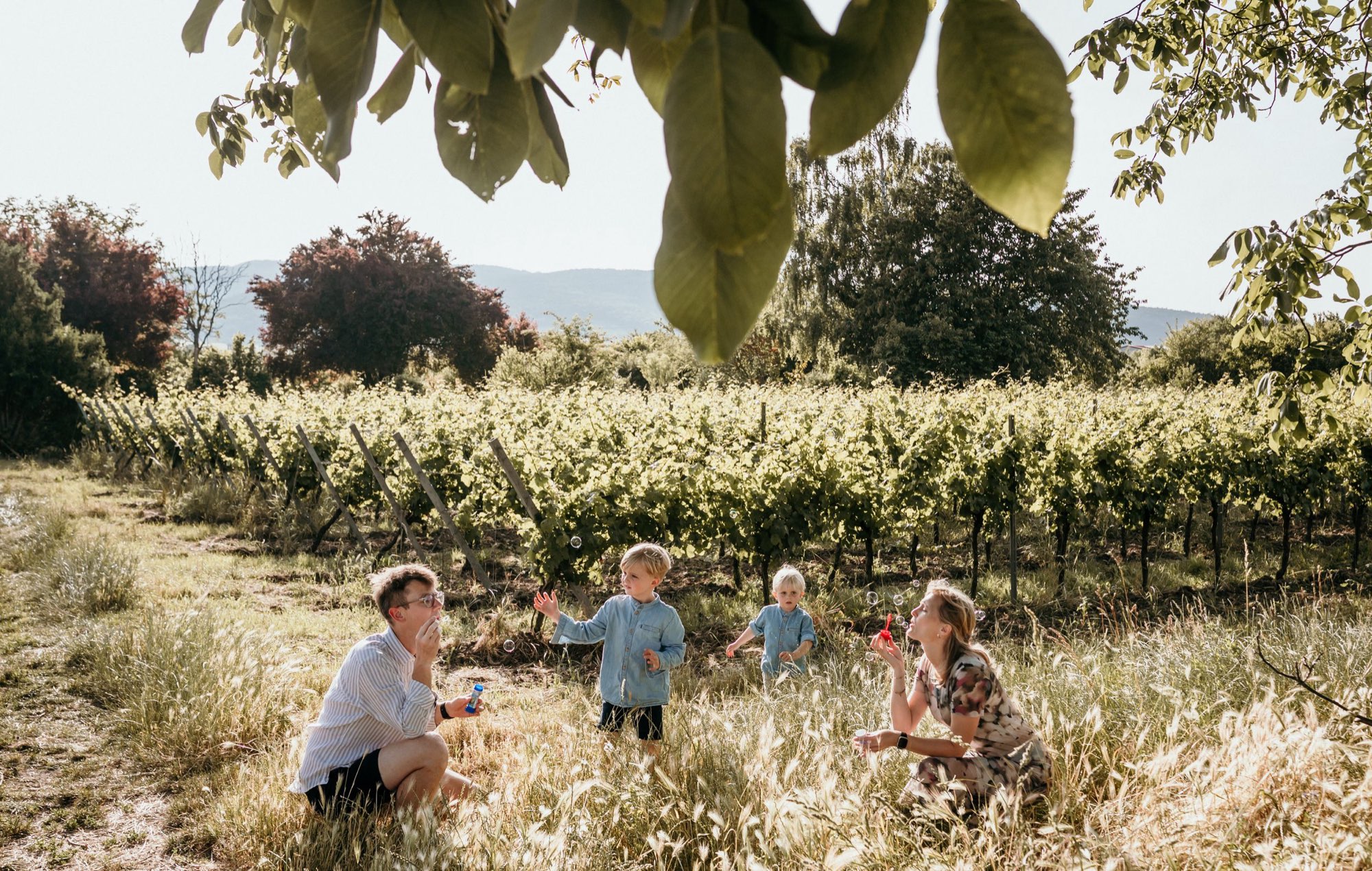 Familie sitzt gemeinsam unter einem Baum inmitten sonniger Weinberge