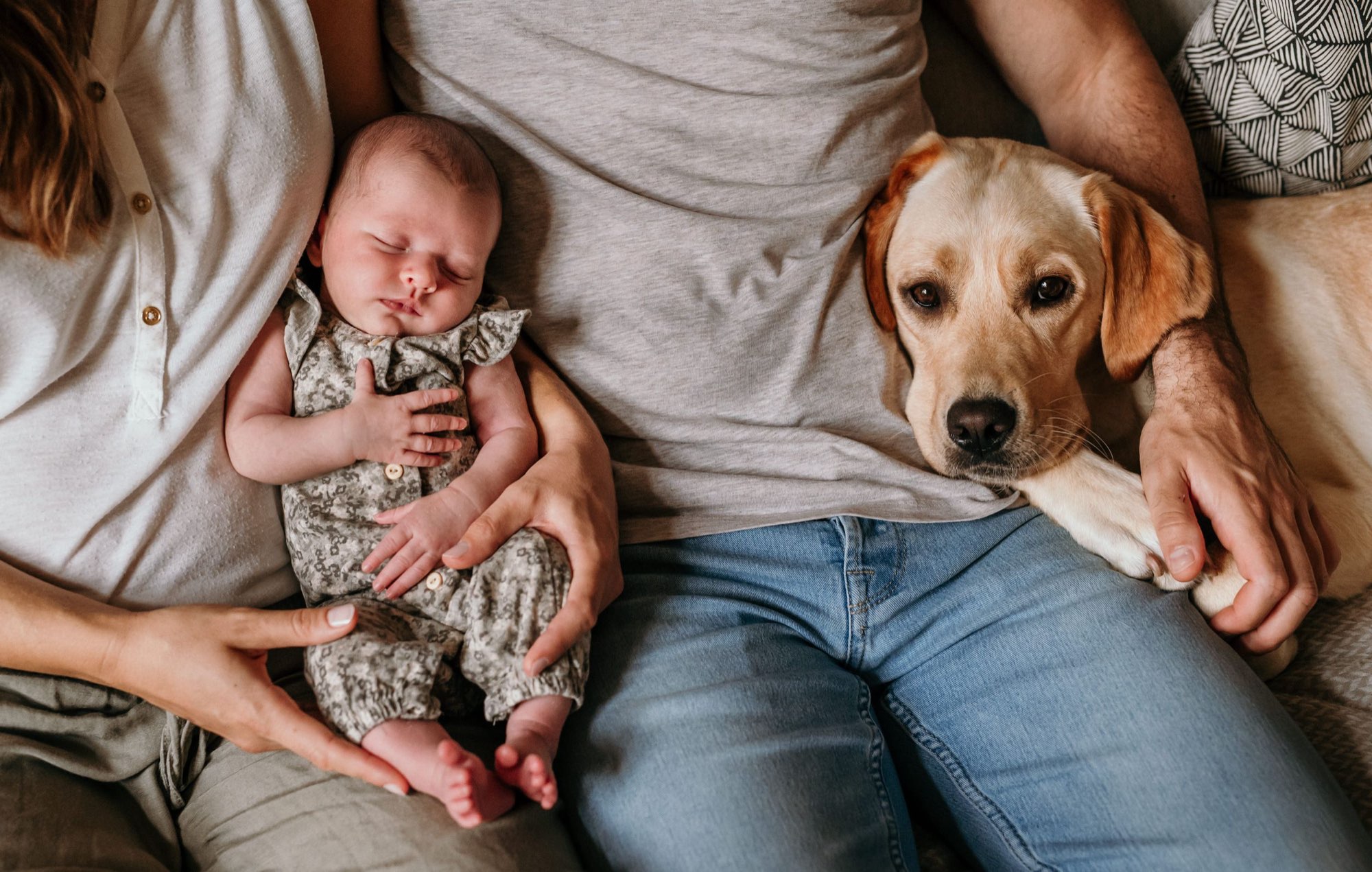 Familie liegt mit Neugeborenem auf dem Sofa, ein Hund schaut zu